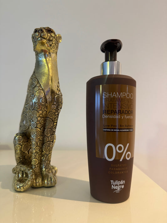 Shampoo castaña de indias de 500ml