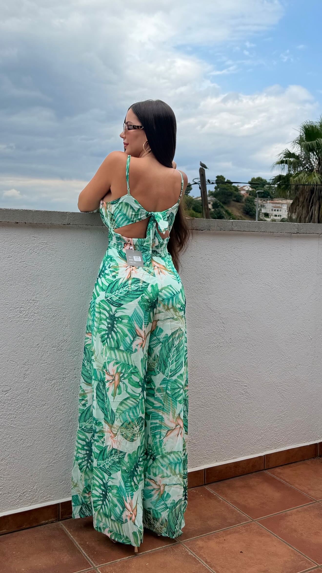 Mono Palmera